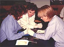 Photo of paramedic students in lab