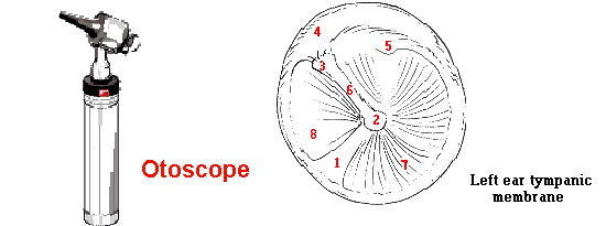 Diagram of otoscope