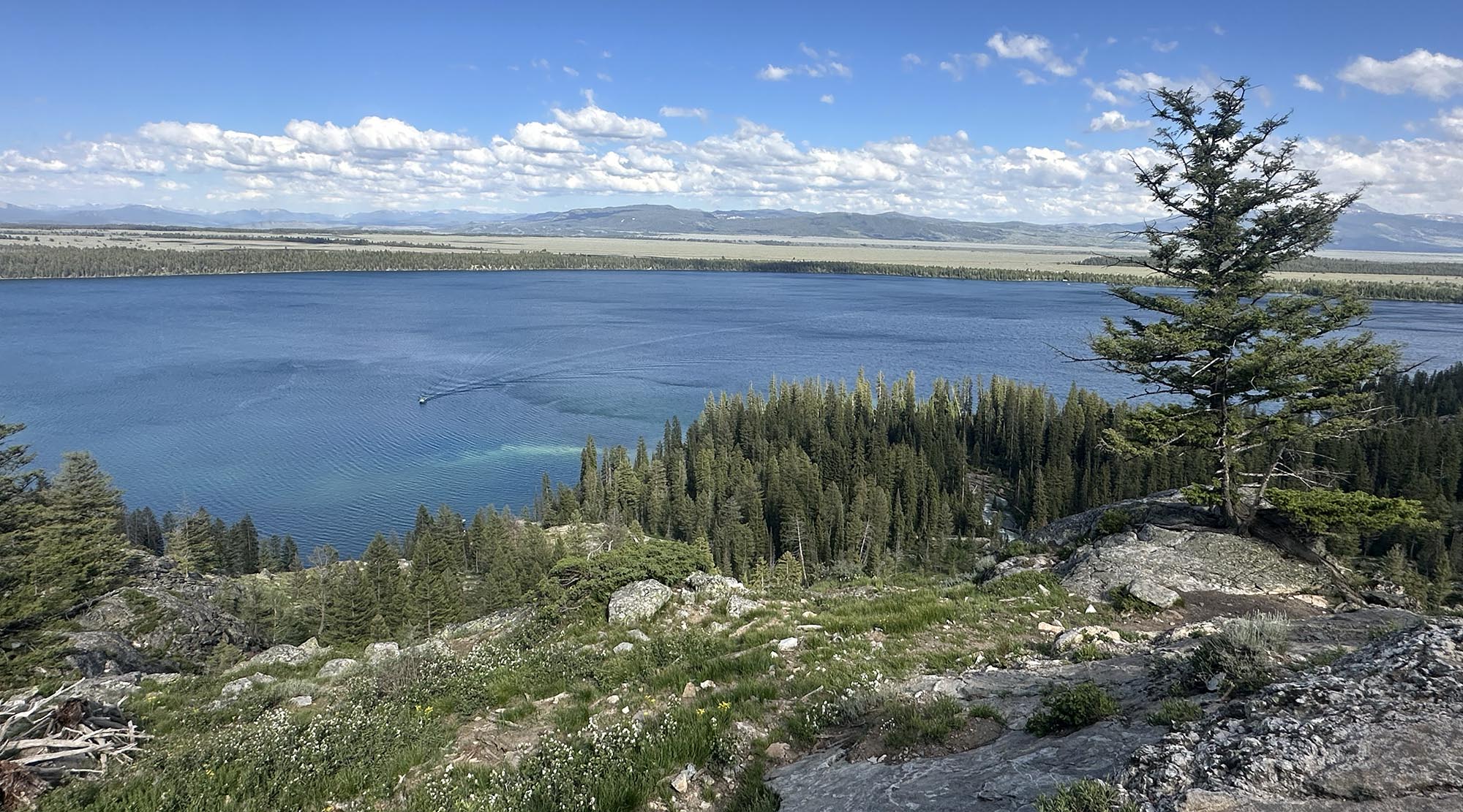 A panoramic mountain lake view shows deep blue water, a forested rocky shoreline, distant mountains, and a lone evergreen beneath a bright, cloud-filled sky.  Log in for more personalized help with writing, rewriting, and translation. Log in Sign up for free
