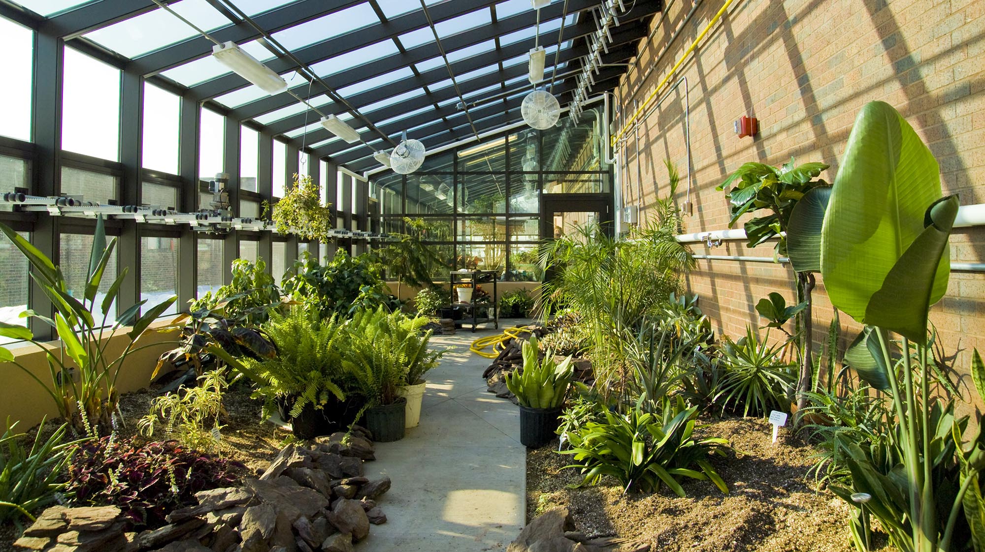 a greenhouse filled with plants