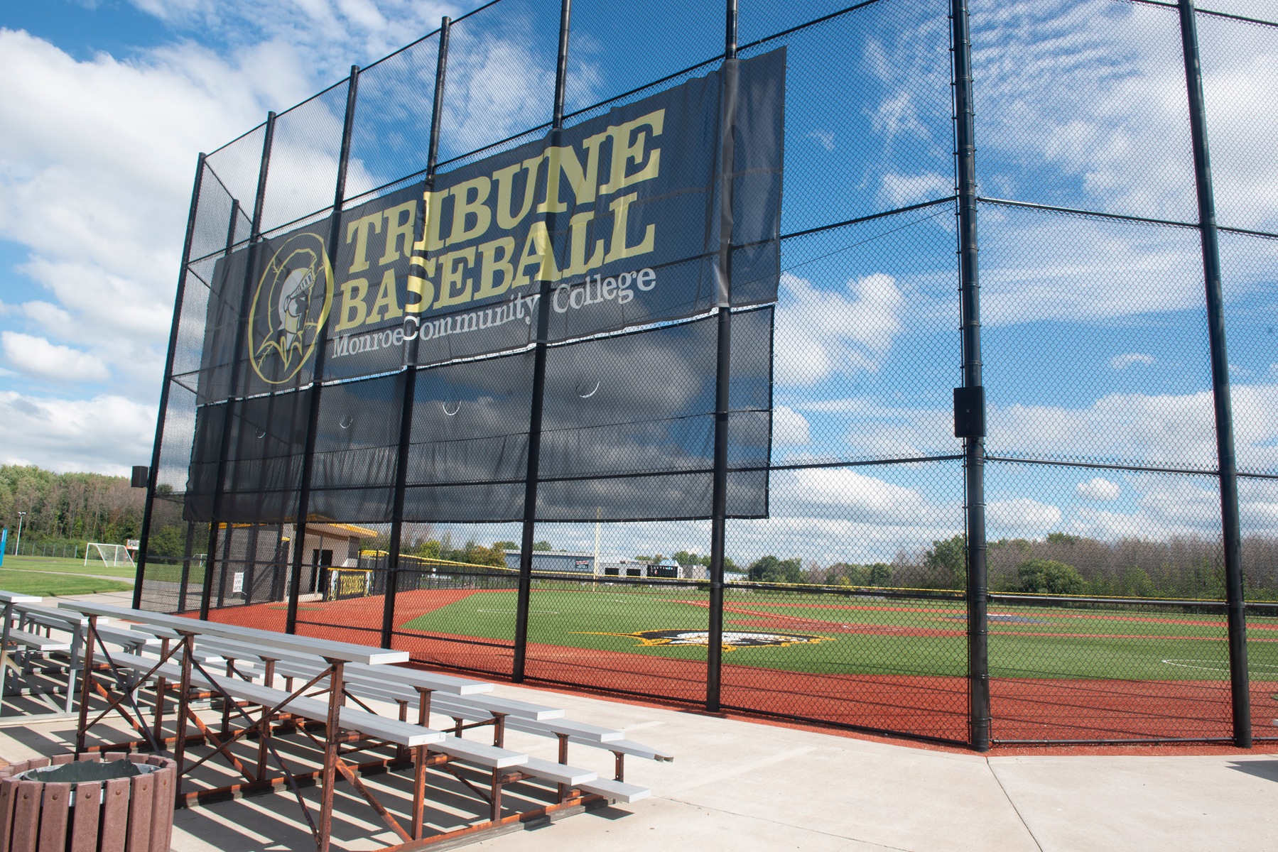 tribune baseball field
