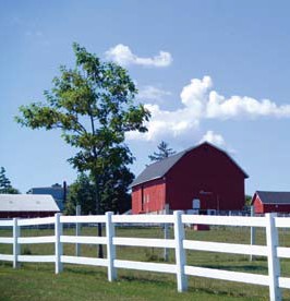 Barn with tree and stockade fence adjacent