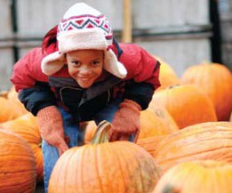 Child sitting with pumpkins