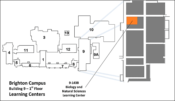 Map showing Brighton Campus Building 9, 1st Floor Learning Centers Room 9-143B: Biology & Natural Sciences Learning Center