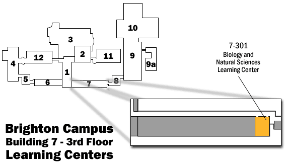 Map showing Brighton Campus Building 7, 3rd Floor Learning Centers Room 7-301: Biology & Natural Sciences Learning Center