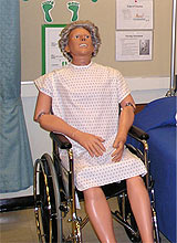 mannequin in wheelchair