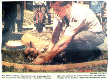 paramedic working on dog