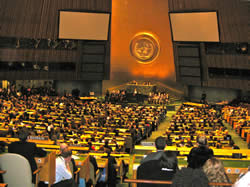 Photo of Model UN speaking floor