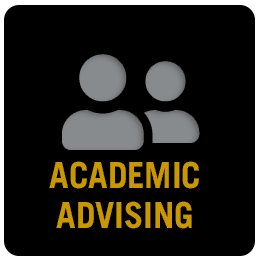 Academic Advising