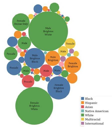 Visual representation of data in Table 2 using circles of different colors and sizes representing the ratios of male to female students of various races/ethnicities on the Brighton and virtual campuses