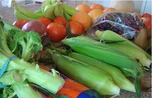 Fresh produce including corn, broccoli, tomatoes, onion, grapefruit, bananas, grapes