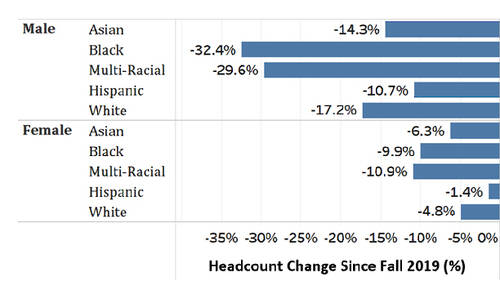 Headcount percentage changes by sex and race/ethnicity.  Asian down 14.3% male, 6.3% female. Black down 32.4% male, 9.9% female. Multi-racial down 29.6% male, 10.9%. Hispanic down 10.7% male, 1.4% female. White down 17.2% male, 4.8% female.