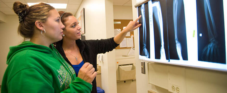 Photo of two Radiologic Technology students