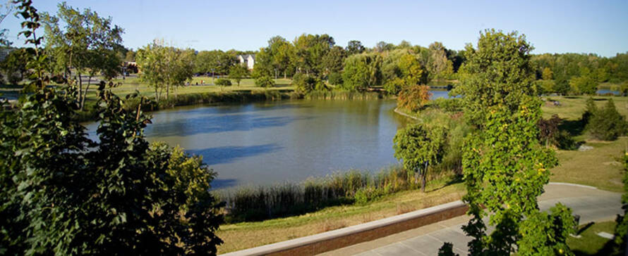 Photo of pond outside Brighton campus