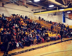 m-pire fans in the stands in a gym