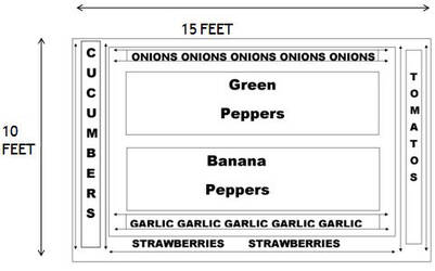 Garden layout with different areas mapped out for different plants