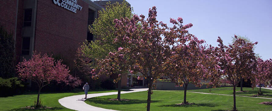 Photo of the Brighton Campus buildings in the spring.