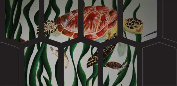 Commercial Art and Illustration  AS - Transfer Program